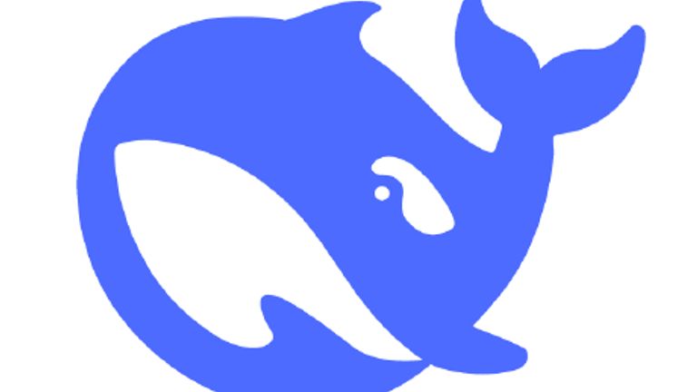 DeepSeek